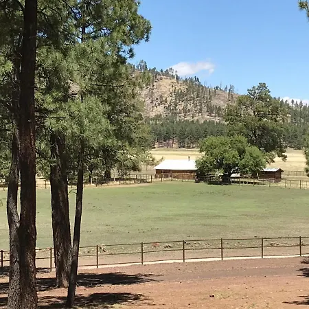 Grand Canyon 1Bd Loft/Suite-Horseback Riding-Shooting-Dogs Ok! Parks Exterior photo