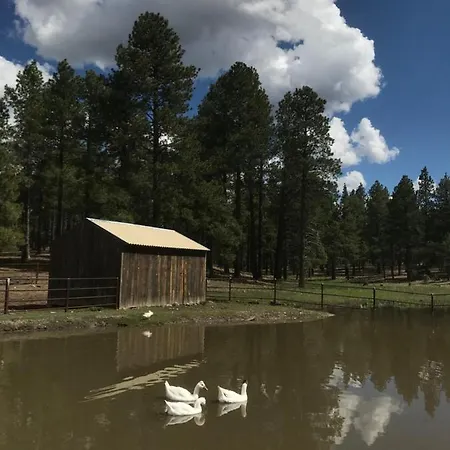 Grand Canyon 1Bd Loft/Suite-Horseback Riding-Shooting-Dogs Ok! Parks Exterior photo