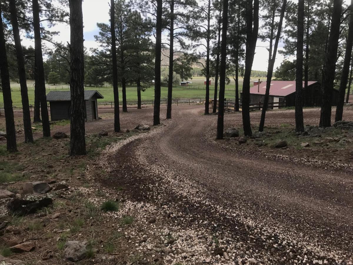 Grand Canyon 1Bd Loft At Historic Wrigley Ranch-Suite With Horseback Riding, Hiking Ferienhaus Parks