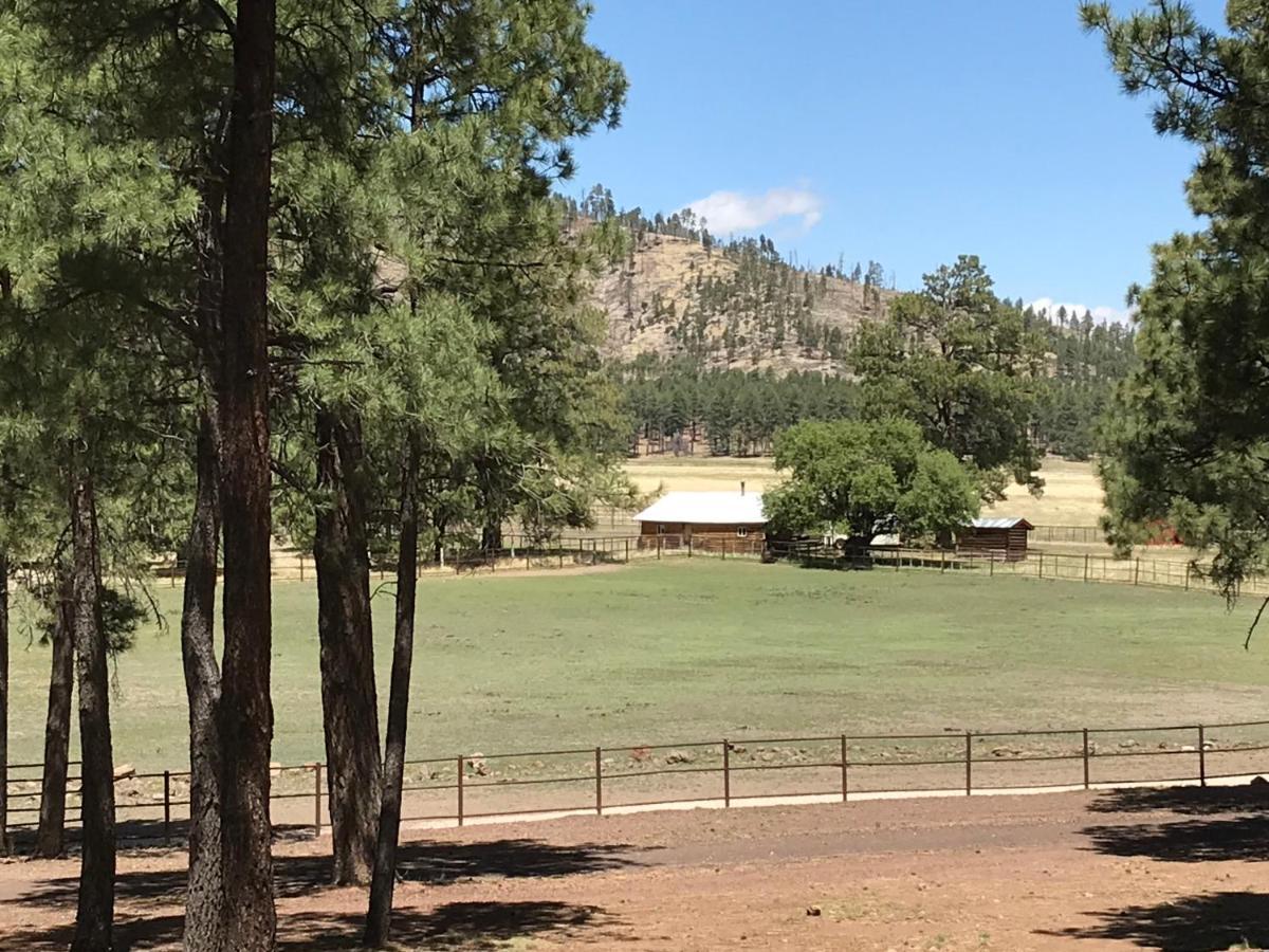 Hébergement de vacances Grand Canyon 1bd Loft/suite-horseback Riding-shooting-dogs Ok!
