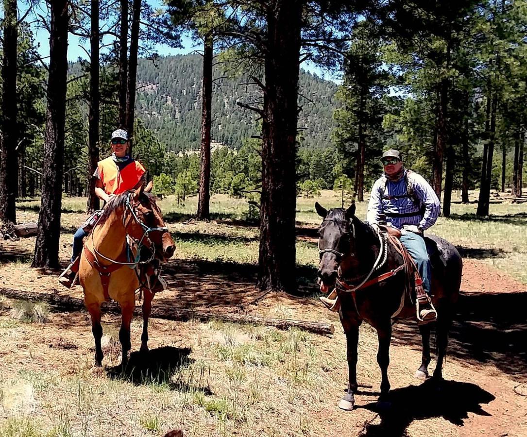 Grand Canyon 1bd Loft/suite-horseback Riding-shooting-dogs Ok! * Parks
