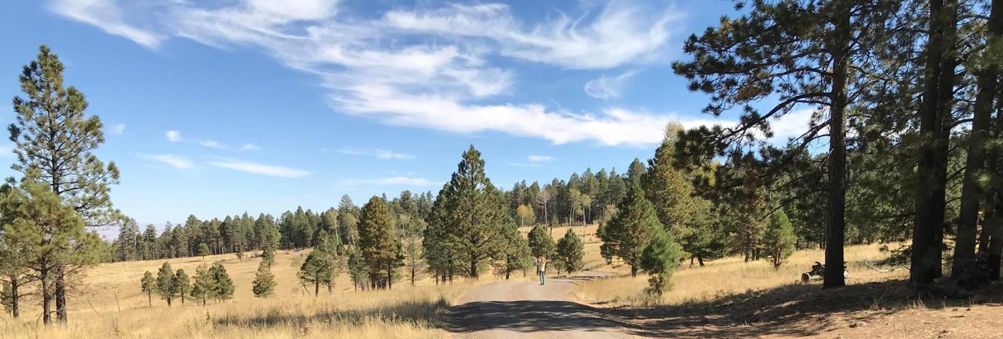 Grand Canyon 1Bd Loft At Historic Wrigley Ranch-Suite With Horseback Riding, Hiking Parks